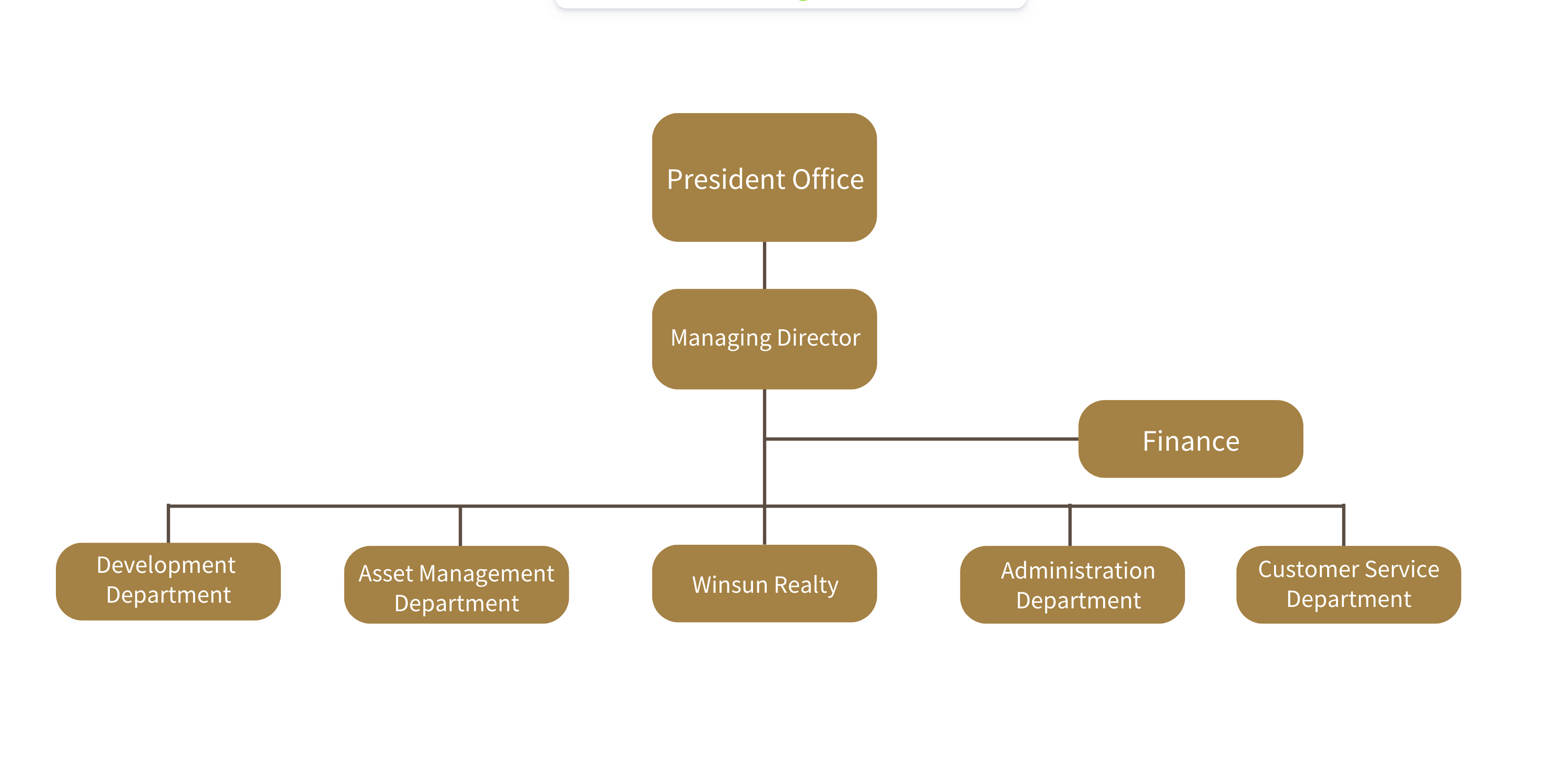 Organization Structure